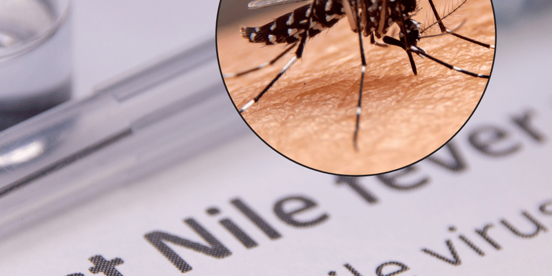 Plat_Mosquito_west nile