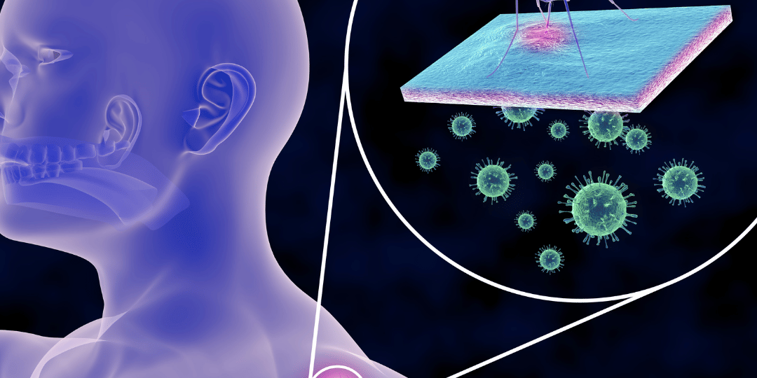 Plat_msquito illness